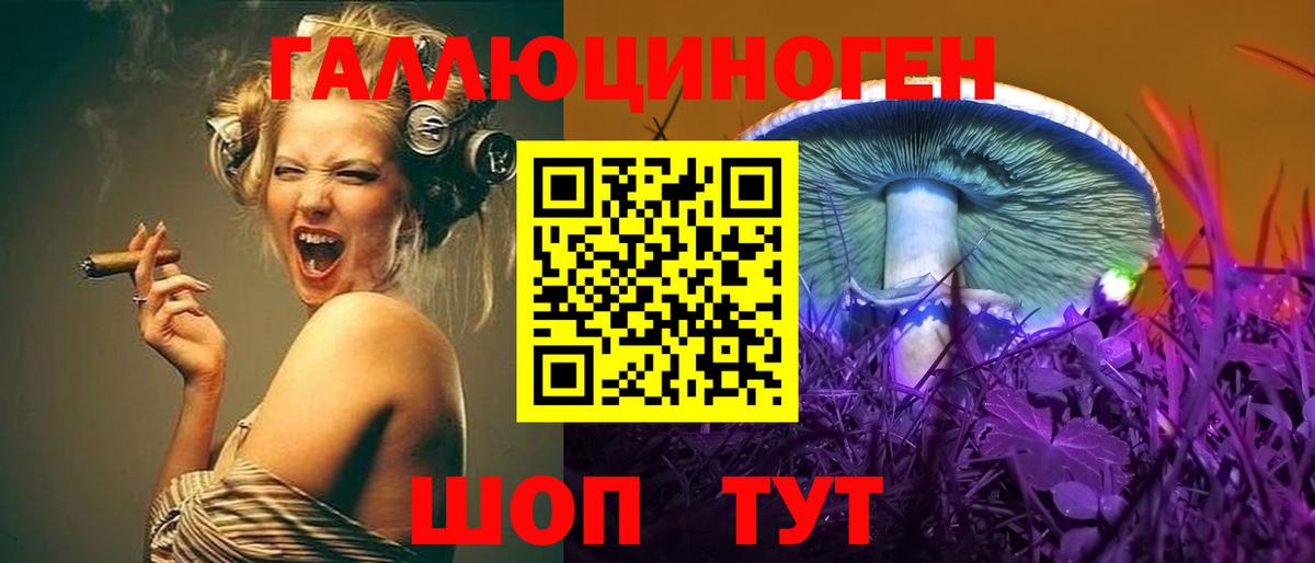 Галлюциногенные грибы GOLDEN TEACHER  Псилоцибиновые грибы MAGIC MUSHROOMS  Вход с VPN  Алексин 